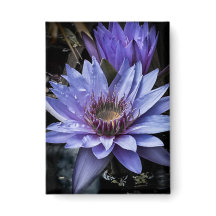 Schaltfläche "New Blue"