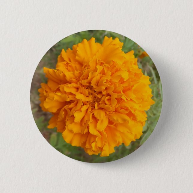 Schaltfläche Orange Carnation Button (Vorderseite)