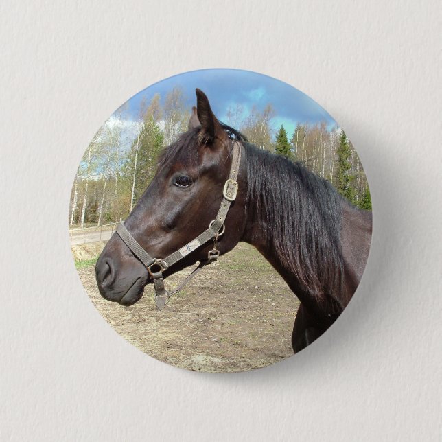 Schaltfläche Pferd Button (Vorderseite)