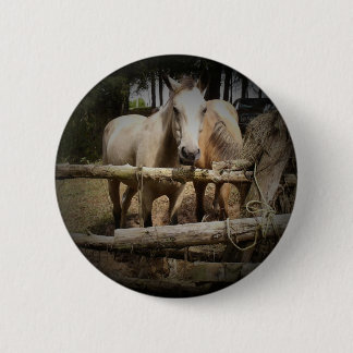 Schaltfläche "PORT 1" Button