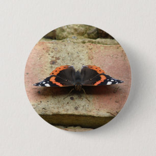 Schaltfläche "Red Admiral Butterfly" Button