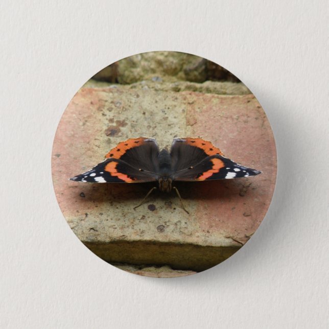 Schaltfläche "Red Admiral Butterfly" Button (Vorderseite)
