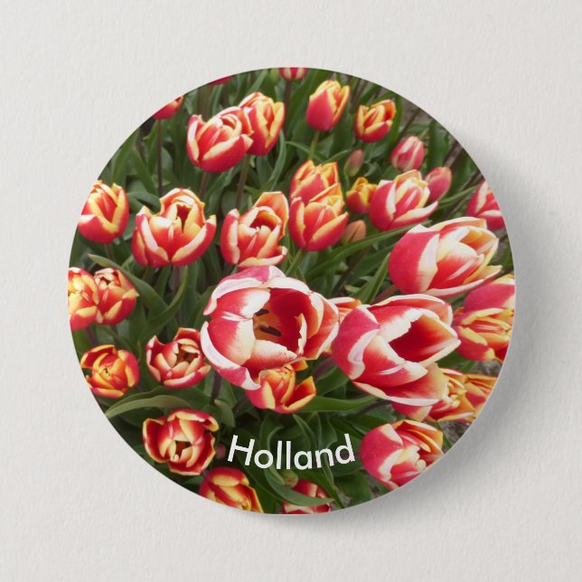 Schaltfläche Red and White Tulip Field Holland Button (Vorderseite)