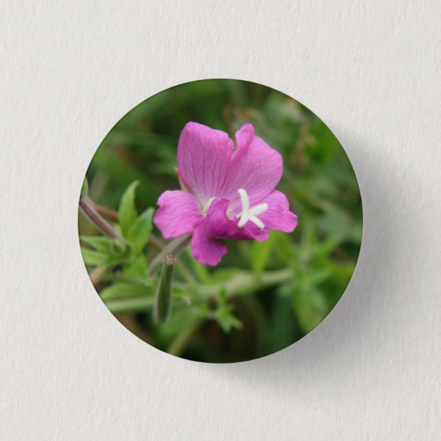 Schaltfläche Red Campion Wildblume Button (Vorderseite)