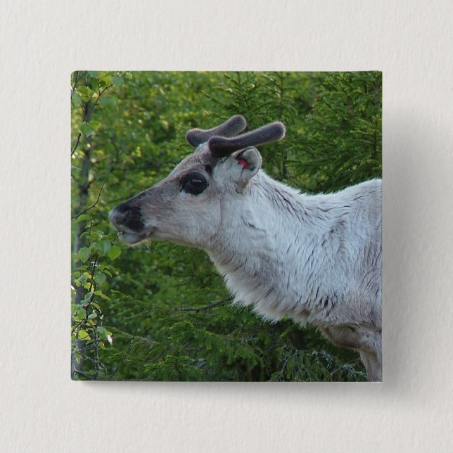 Schaltfläche Rentier in Lapland Button (Vorderseite)