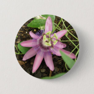 Schaltfläche "Rosa und Lila Passionsblume" Button