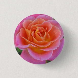Schaltfläche Rosa und orange Rose Button