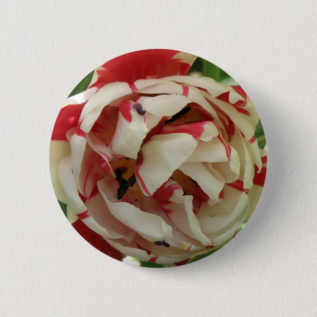 Schaltfläche "Rosa und Weiße Tulip" Button (Vorderseite)