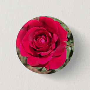 Schaltfläche rote Rose Button