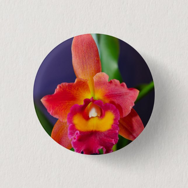 Schaltfläche Rotes und orangefarbenes Button (Vorderseite)