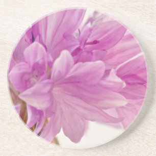 Schaltfläche Sandstein Untersetzer