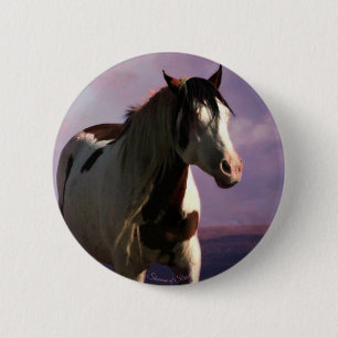 Schaltfläche "Shaman of Steens"  Button