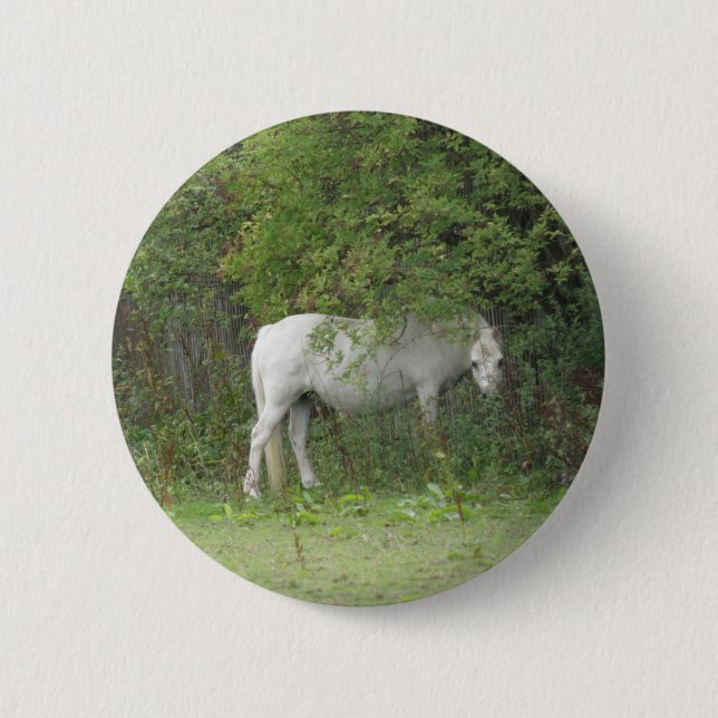 Schaltfläche "Shy White Horse" Button (Vorderseite)