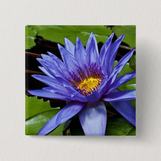 Schaltfläche "Tropische Wasserlilie" Button (Vorderseite)