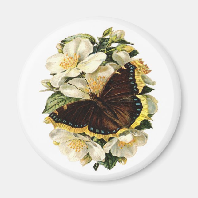 SCHALTFLÄCHE UND WEISSE BLUME MAGNET (Vorne)