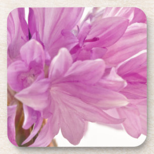 Schaltfläche Untersetzer