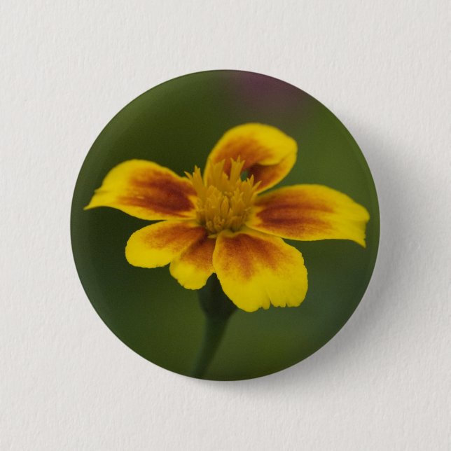 Schaltfläche "Untified" Button (Vorderseite)