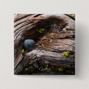 Schaltfläche "Währung" Button