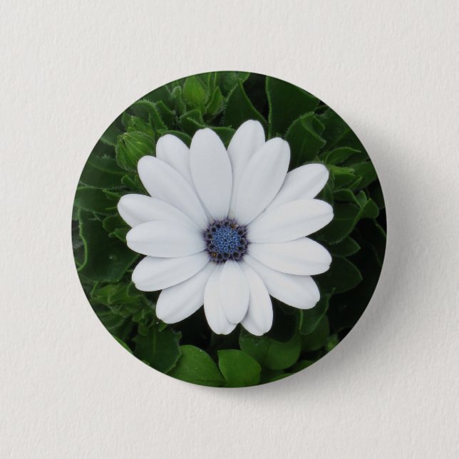 Schaltfläche Weiße Blume Button (Vorderseite)