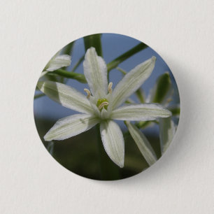 Schaltfläche "Weiße Blume" im Frühjahr Button