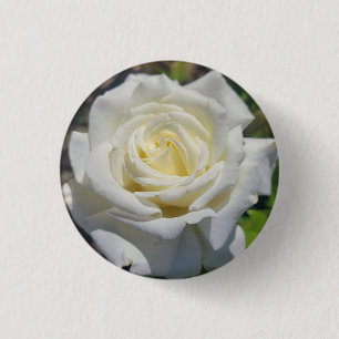 Schaltfläche "Weiße Rose" Button