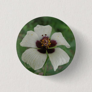 Schaltfläche "Weiße und Lila Passionsblume" Button