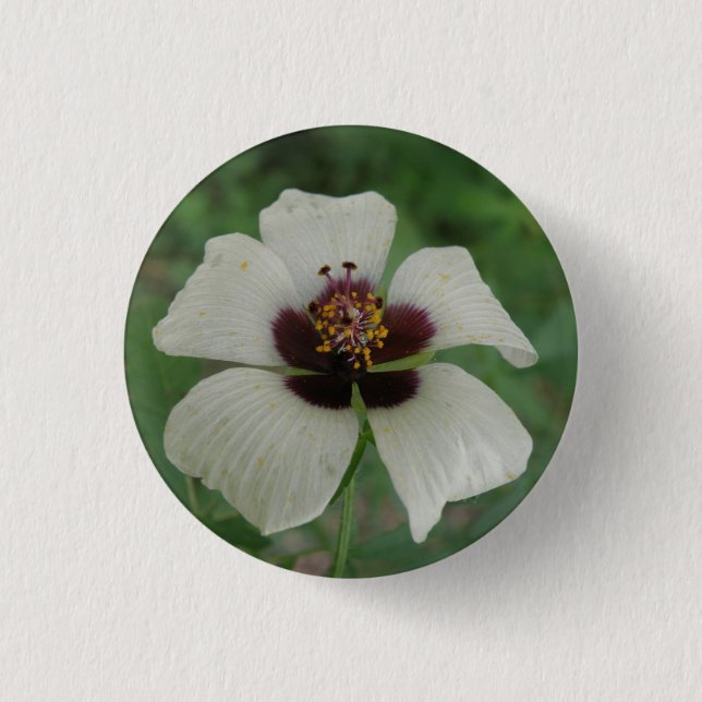 Schaltfläche "Weiße und Lila Passionsblume" Button (Vorderseite)