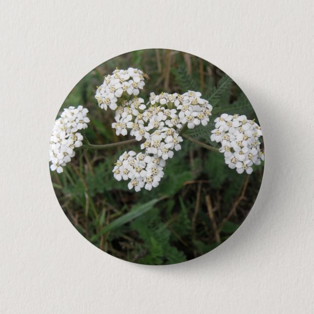 Schaltfläche "Weiße Wildblumen" Button (Vorderseite)