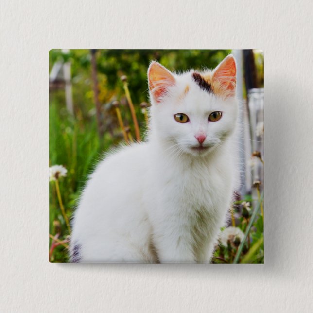 Schaltfläche "White Kitten" Button (Vorderseite)