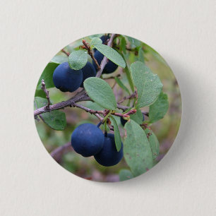 Schaltfläche "Wilde Berries" Button