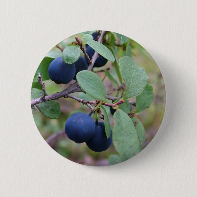 Schaltfläche "Wilde Berries" Button (Vorderseite)