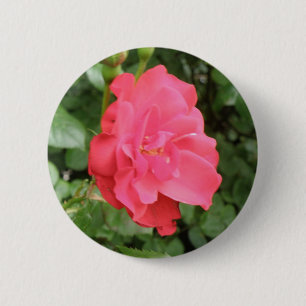 Schaltfläche "Wilde Rose" Button
