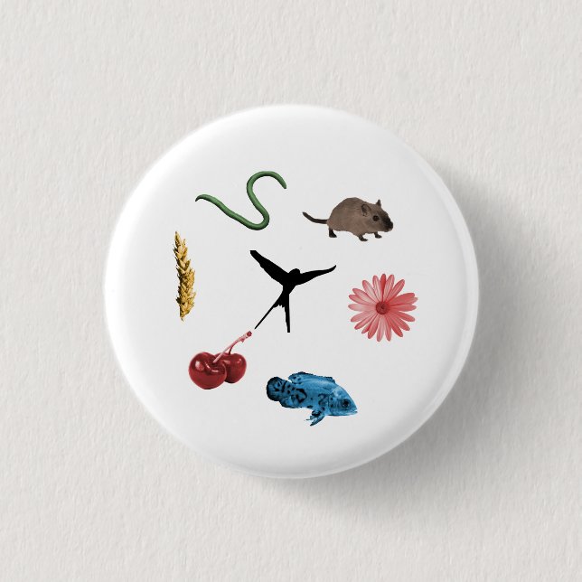 Schaltfläche Wingspan Alle Lebensmittelmarken Button (Vorderseite)