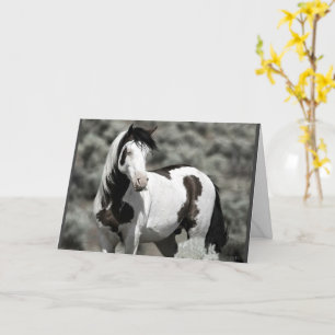 Schamanenkarte Karte