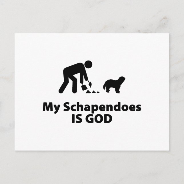 Schapendo Postkarte (Vorderseite)