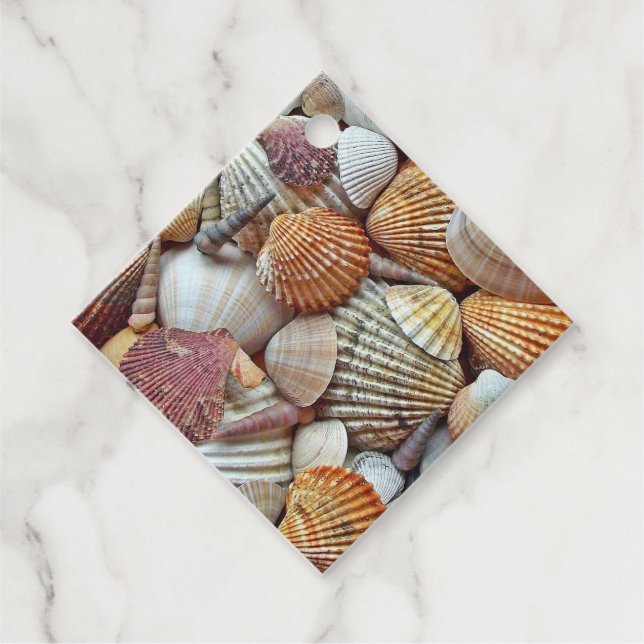 scharf aussehende Muscheln Geschenkanhänger (Vorderseite)