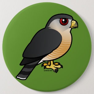 Scharf-shinned Falke Button
