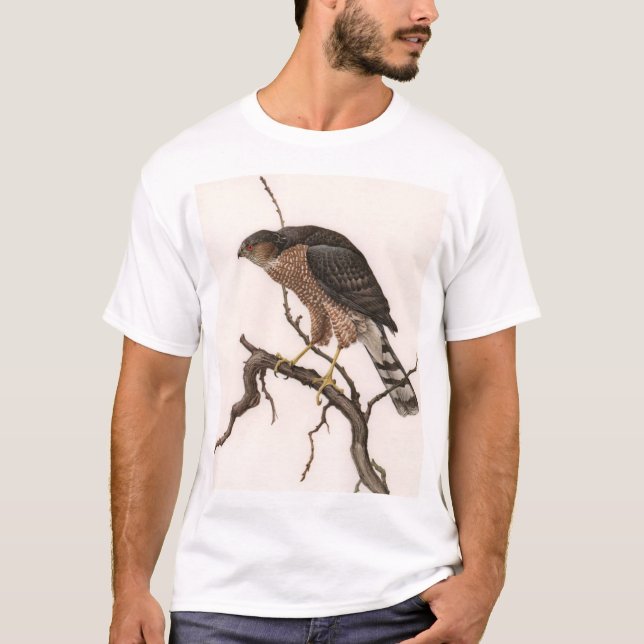 Scharf-shinned Falke, erwachsene Frau T-Shirt (Vorderseite)