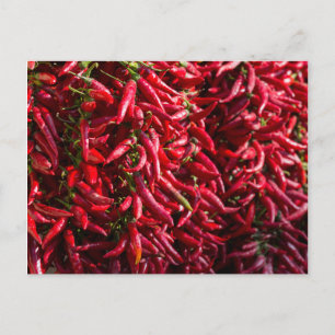 Scharfe rote Chili in der Stadt Kalocsa Postkarte