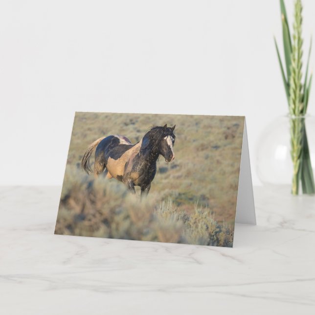 Schärfer als die Erholung" Note Card Karte (Vorderseite)