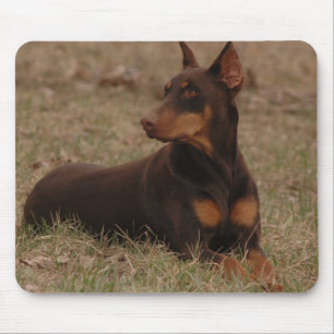 Scharfer Rot-und Rost-weiblicher DobermannPinscher Mousepad