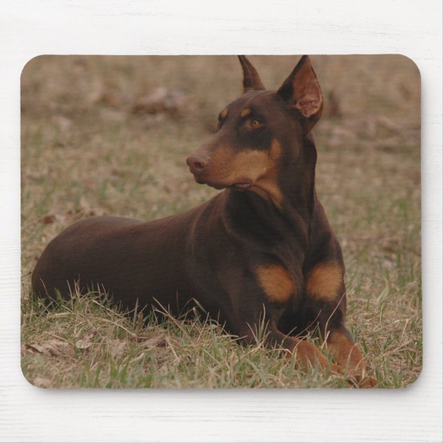 Scharfer Rot-und Rost-weiblicher DobermannPinscher Mousepad (Vorne)