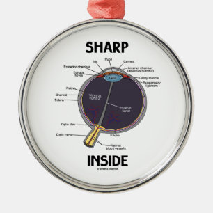 Scharfes Innere des Augen-(i) (anatomischer Silbernes Ornament