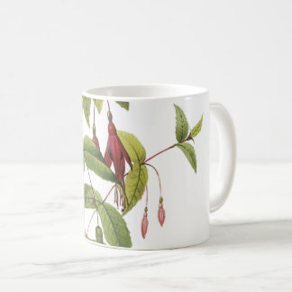 Scharlach fuchsia (Fuchsia coccinea) von Redouté Kaffeetasse