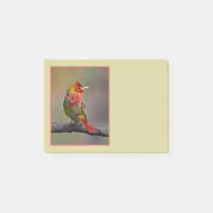 Scharlach-Tangare Mauser - Originalfotografie Post-it Klebezettel