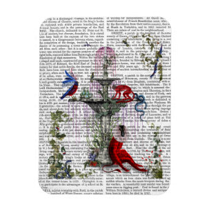 Scharlachrot des Affe-2 Magnet