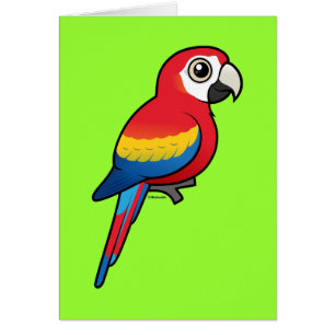 Scharlachrot Macaw-