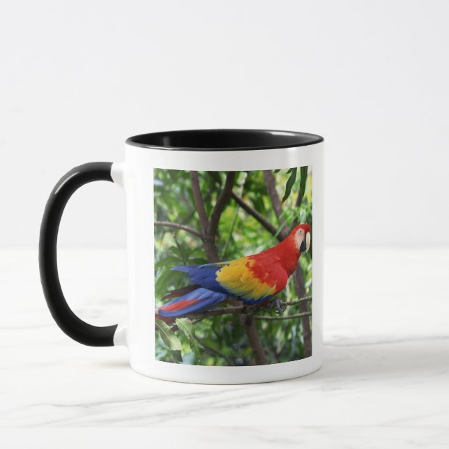 Scharlachrot Macaw auf Ast Tasse (Links)