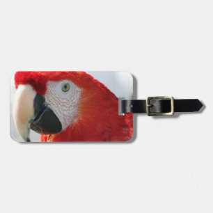 Scharlachrot Macaw-Gepäckanhänger- Gepäckanhänger