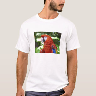 Scharlachrot Macaw- T-Shirt